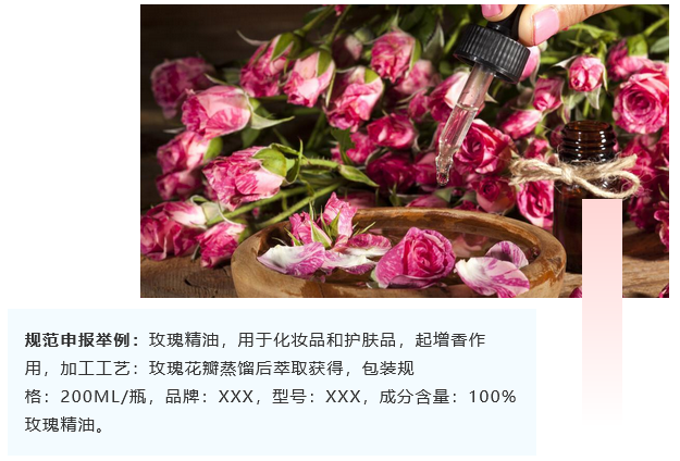 <a href='http://m.jhshkj.com' title='危險品海運' >危險品海運</a>