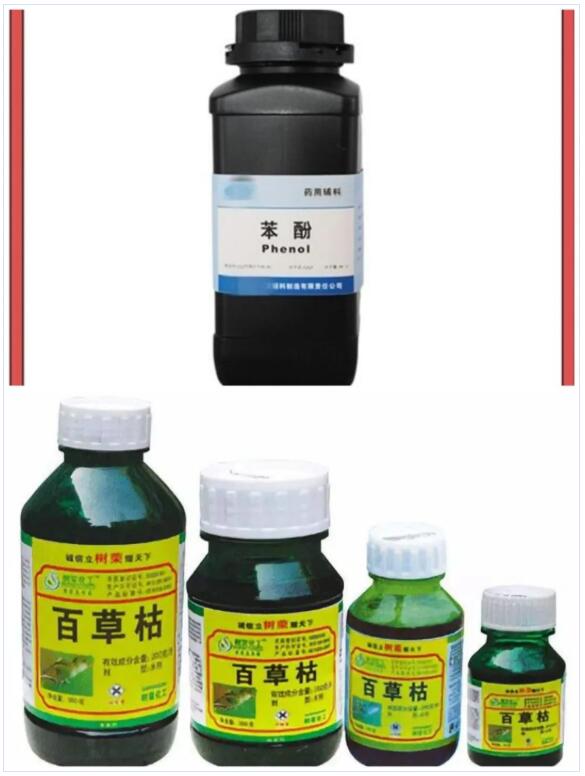 <a href='http://m.jhshkj.com' title='國際貨運代理' >國際貨運代理</a>